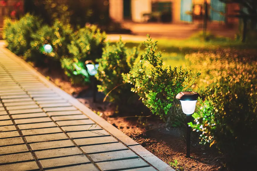 Expert Landscaper Services in Citrus Heights