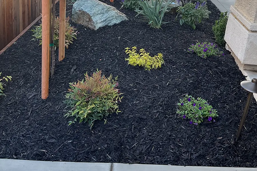 Reliable Landscaper Services in El Dorado Hills