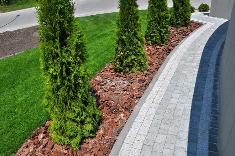 Outdoor landscape project