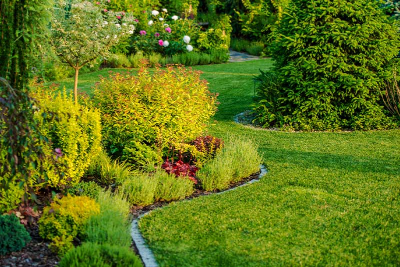 Landscape Service