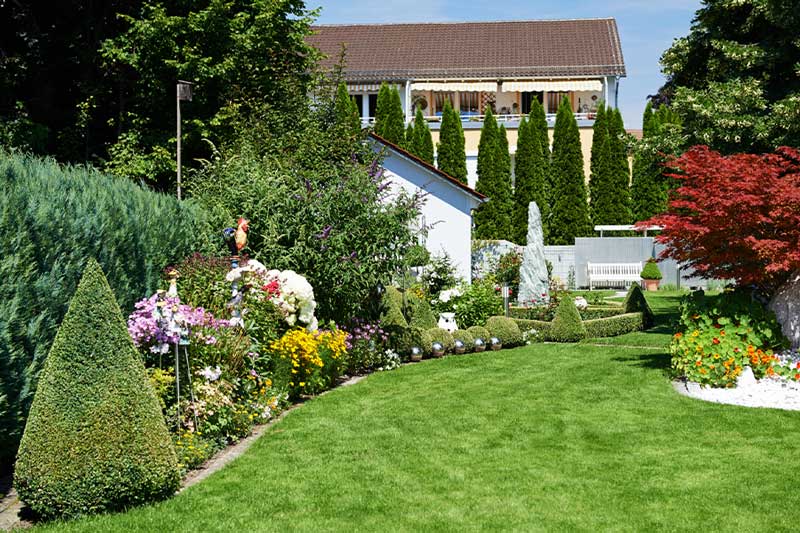 Landscaped residential outdoor area